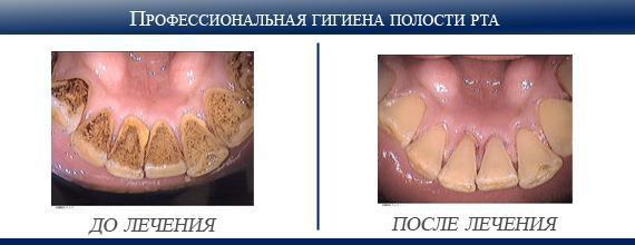 Описание изображения
